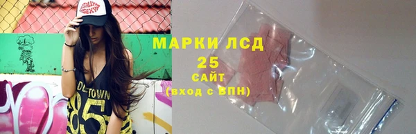 прущие грибы Богородск