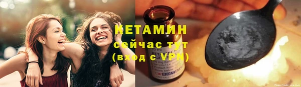 индика Сатка