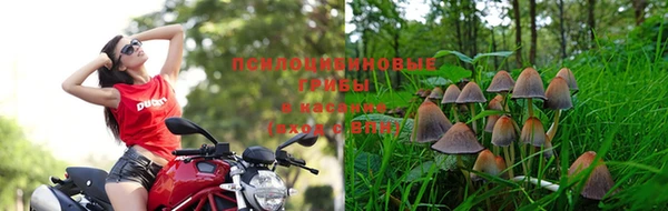 MDMA Арсеньев