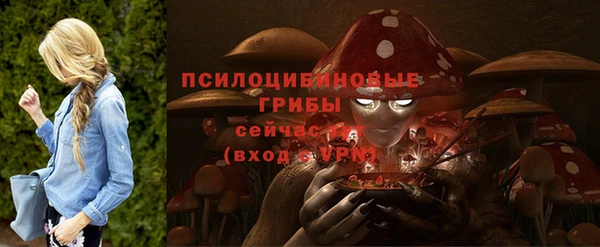 тгк Армянск